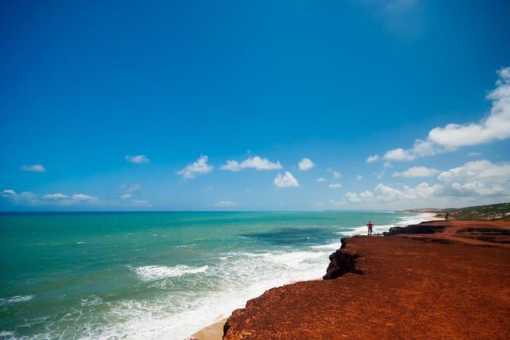Pipa Beach Day Trip from Natal: Dolphins, Cliffs and Atlantic Forest photo 4