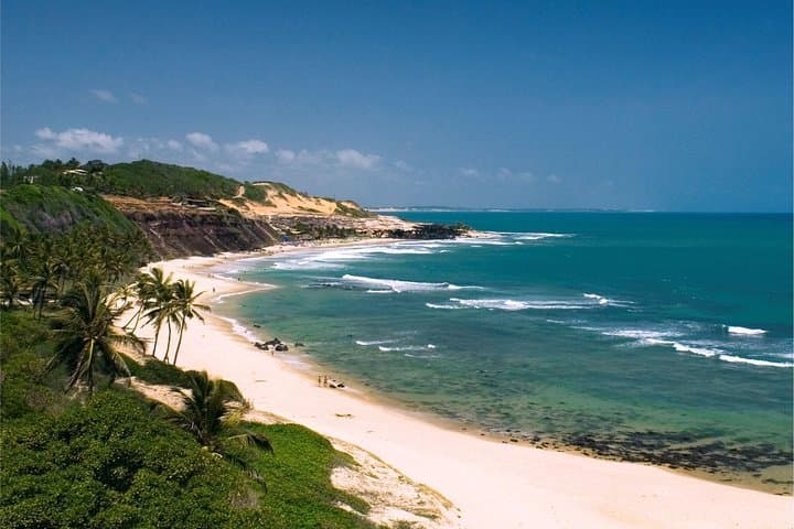 Pipa Beach Day Trip from Natal: Dolphins, Cliffs and Atlantic Forest photo 5