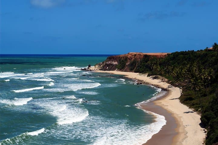 Pipa Beach Day Trip from Natal: Dolphins, Cliffs and Atlantic Forest photo 6
