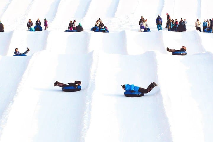Farellones Snow Park: Full-Day Snow Adventure from Santiago photo 3