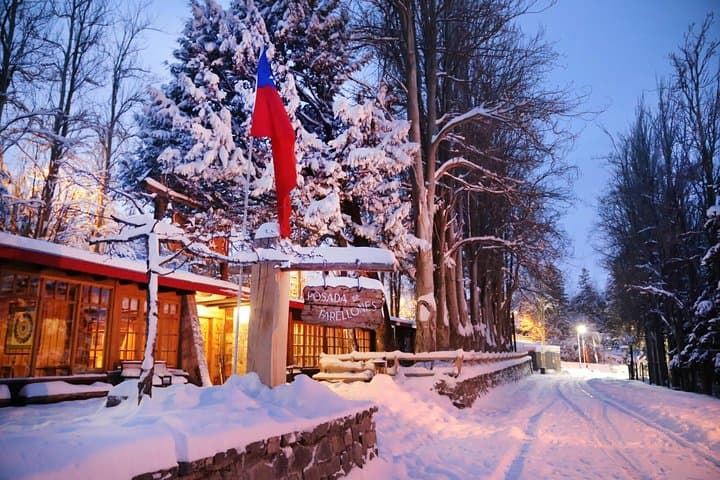 Farellones Snow Park: Full-Day Snow Adventure from Santiago photo 5
