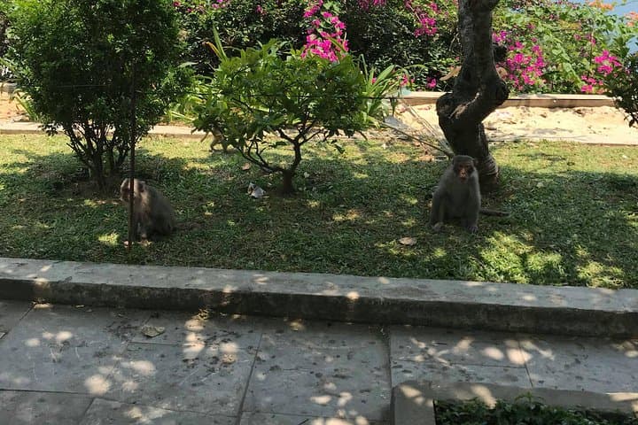 Da Nang Marble Mountains & Linh Ung Pagoda Half-Day Private Tour photo 6