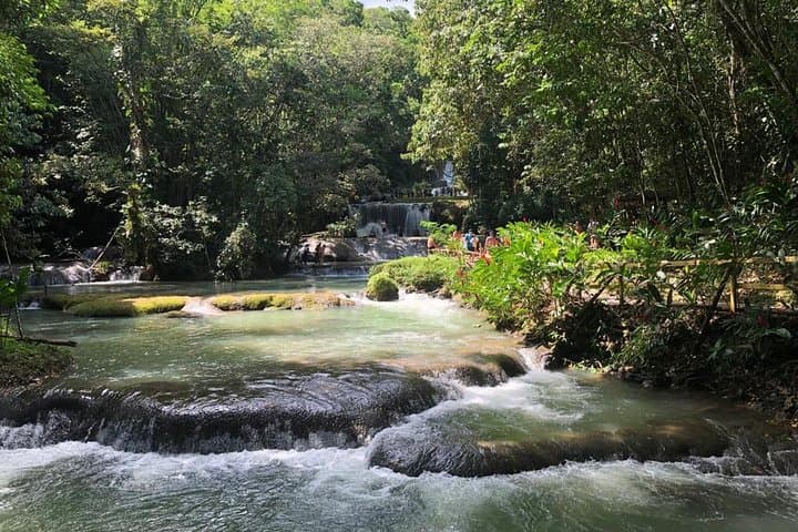 YS Falls & Black River Safari: Full-Day Boat Cruise and Waterfall Excursion from Montego Bay