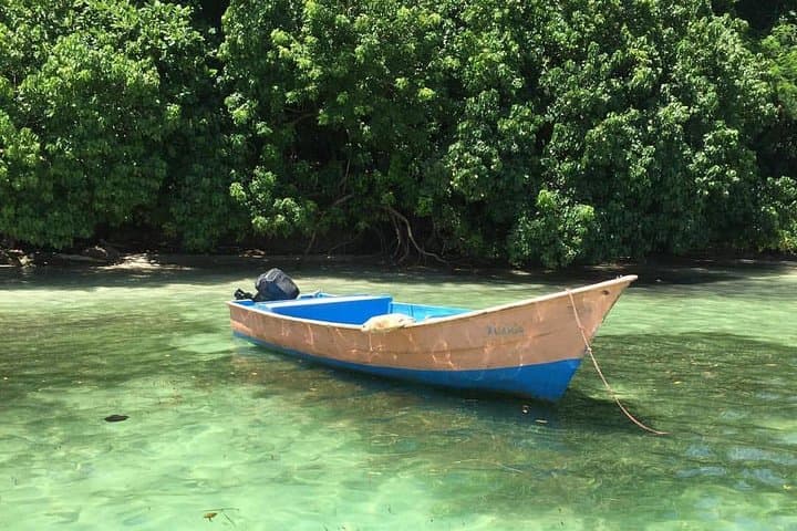 Bacardi Island Day Pass — Cayo Levantado Beach Escape in Samaná Bay photo 5