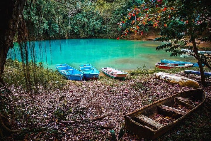 Explore Los Haitises & Caño Hondo: Private Mangrove, Cave and Natural Pool Tour with Lunch photo 6