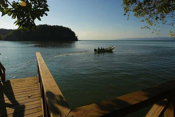 Full-Day Cayo Levantado & Los Haitises National Park Tour from Samaná photo 3