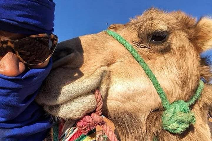 Fez to Marrakech: 3-Day Merzouga Desert Adventure by Camel and Camp photo 6