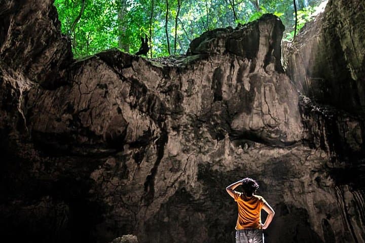 Hike Los Haitises National Park: Rainforest Trek and Private Boat to Taino Caves