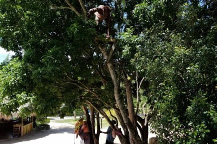 Blue Hole Mineral Spring and Rick's Cafe Private Tour — Swim, Cliff Jumps & Negril Sunset photo 6