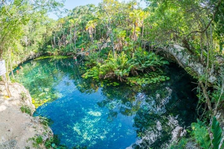 Akumal Turtle & Cenote Private Tour — Swim with Sea Turtles and Explore a Cenote photo 4