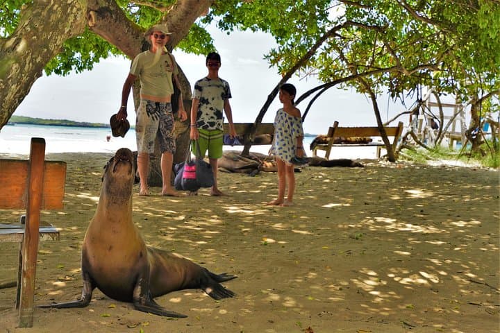 10-Day Galapagos Multi-Sport: Snorkel, Hike, Kayak and Bike the Islands of Evolution photo 2