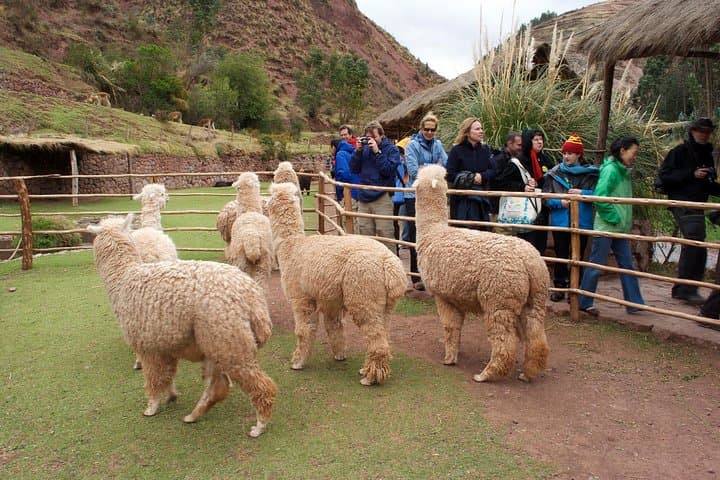 5-Day Empire of the Incas: Cusco, Sacred Valley & Machu Picchu Adventure photo 6