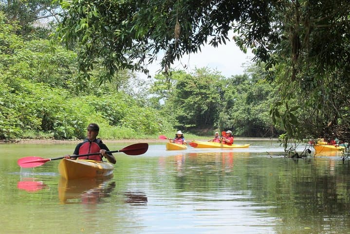 Peñas Blancas Kayak Safari from La Fortuna — Wildlife Float on Arenal's River