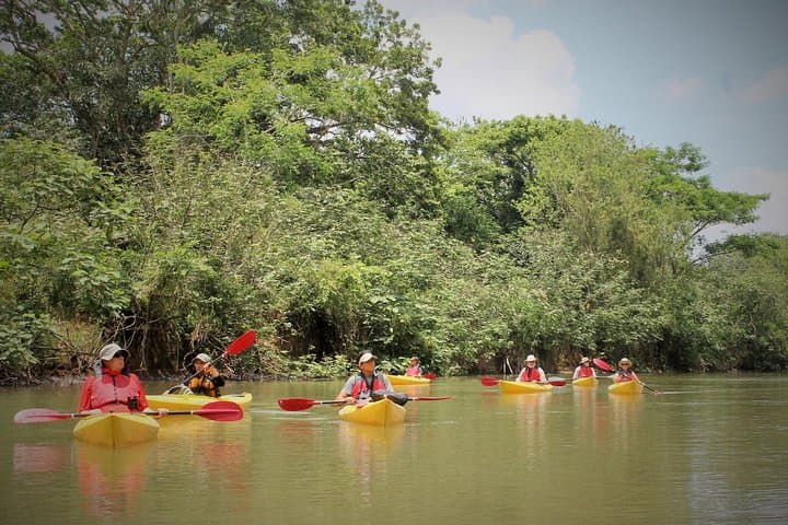 Peñas Blancas Kayak Safari from La Fortuna — Wildlife Float on Arenal's River photo 2