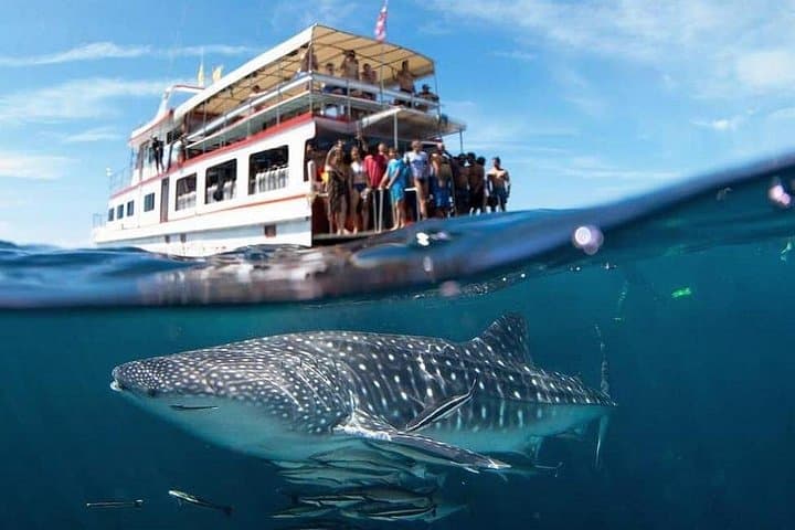 Koh Lanta Fun Diving Safari: Two-Dive Day Trip to Koh Haa & Bida Islands photo 1