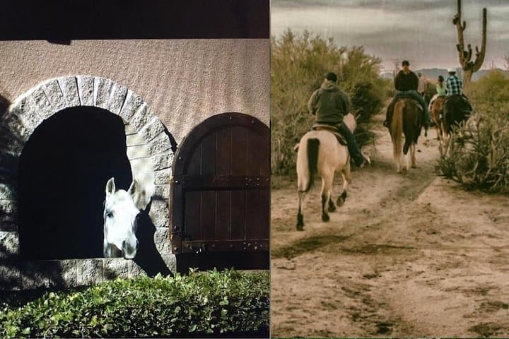 Scottsdale Horseback Ride & Horse Country Estate Tour — Desert Equestrian Experience photo 1