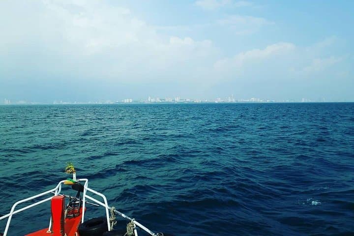 Speedboat Day Trip to Racha & Coral Island from Phuket — Snorkel, Lunch & Water Sports photo 5