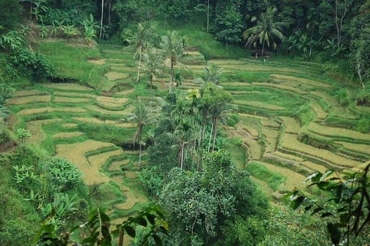 Sunrise Summit Trek: Mount Batur Hike from Ubud photo 6