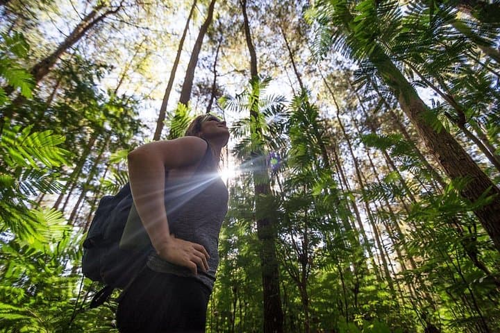 Mount Batur Sunrise Hike and Volcano Breakfast — Bali Dawn Trekking Tour photo 4