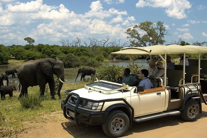 Chobe Full-Day Safari from Livingstone: River Cruise and Game Drive in Chobe National Park photo 6