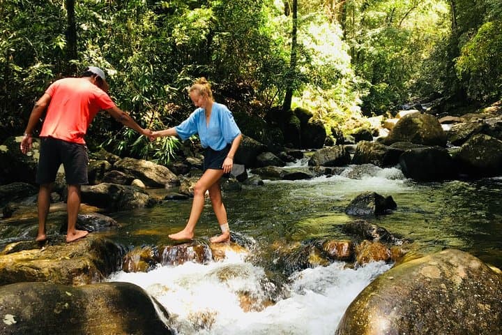 Singharaja Rainforest Day Trek from Mirissa, Weligama & Galle