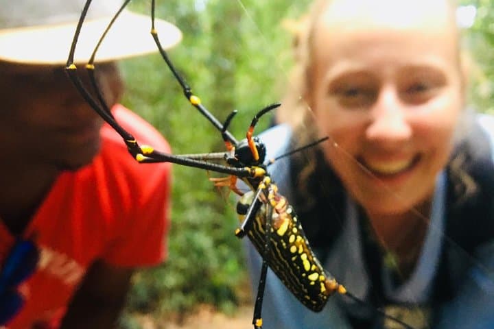 Singharaja Rainforest Day Trek from Mirissa, Weligama & Galle photo 2