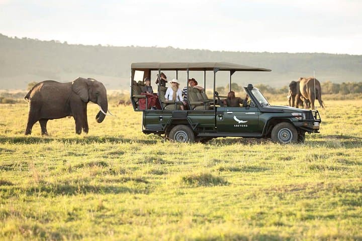 4-Day Maasai Mara Safari: Big Five, Wildebeest Migration & Lake Nakuru photo 3