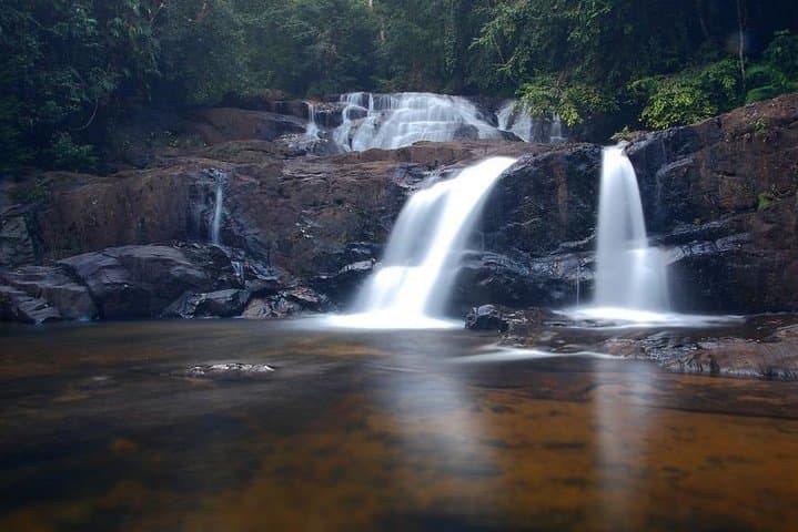 Singharaja Rainforest Day Trek from Mirissa, Weligama & Galle photo 5