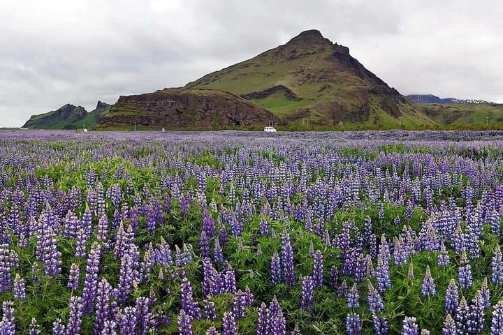 South Coast Private Day Tour from Reykjavik — Waterfalls, Black Sand & Glacier Views photo 4