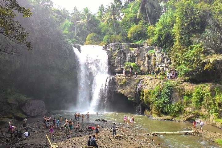 Bali Shore Excursion from Benoa Port — Private Ubud Temples, Rice Terraces & Coffee Plantation photo 5