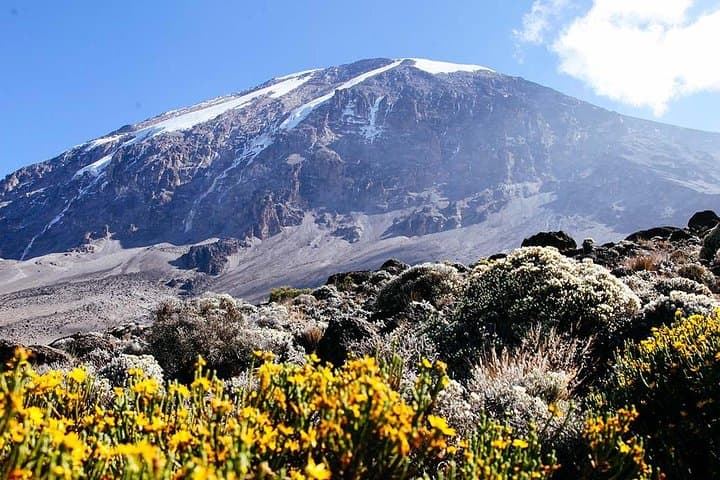 5-Day Marangu Route Mount Kilimanjaro Trek — Summit Uhuru Peak from Moshi