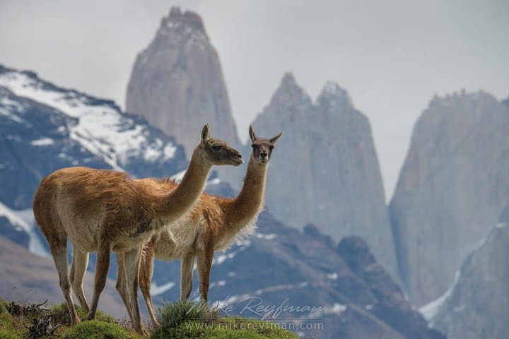 6-Day Self-Drive Road Trip to Torres del Paine National Park from Punta Arenas photo 4