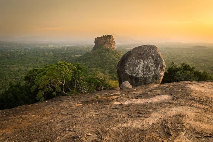 Pidurangala Rock & Minneriya Safari: Private Day Trip from Colombo