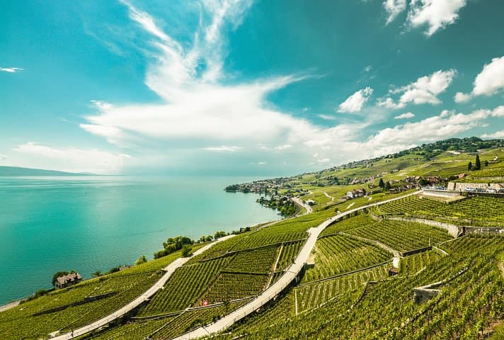 Swiss Riviera Day Trip: Vevey, Montreux & Chillon from Geneva