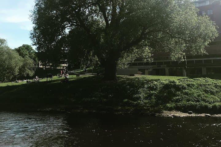 Walk Akerselva: Norwegian Nature and Food Experience in Oslo photo 4