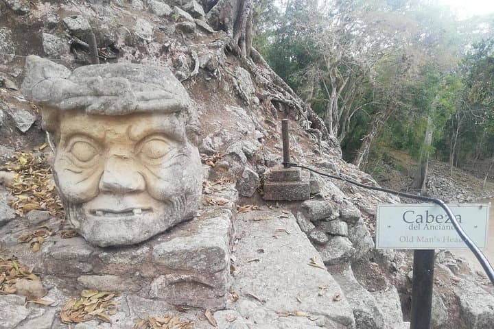 Full-Day Copán Ruins Tour from San Salvador — Hieroglyphic Stairway & Rosalila Access photo 6