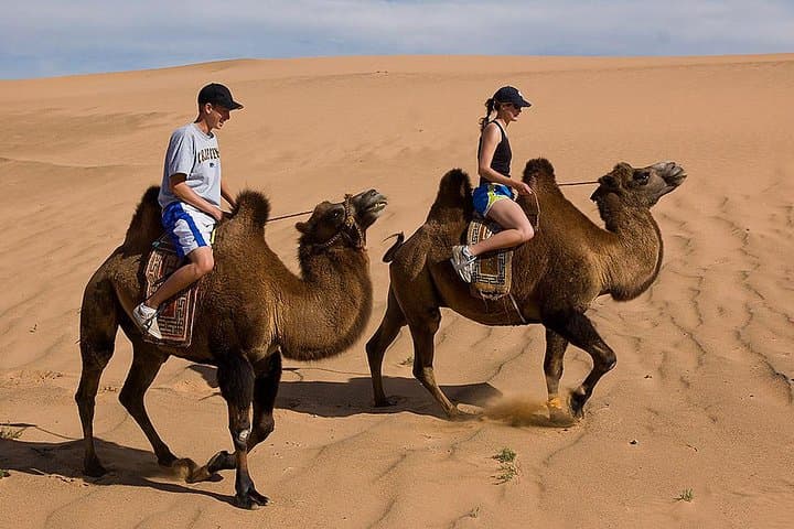 One-Day Semi-Gobi Adventure from Ulaanbaatar: Camels, Nomads & Sand Dunes