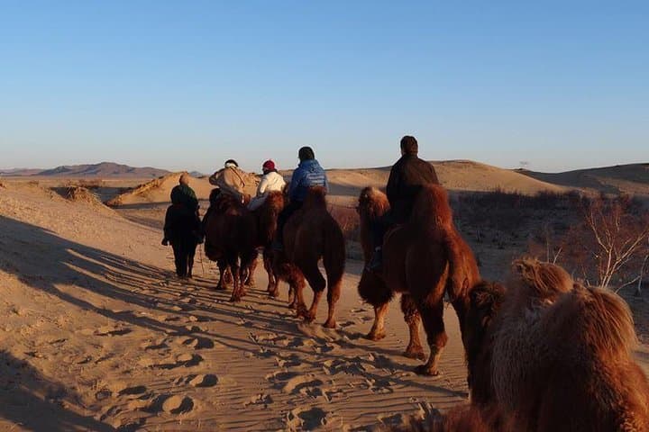 One-Day Semi-Gobi Adventure from Ulaanbaatar: Camels, Nomads & Sand Dunes photo 2