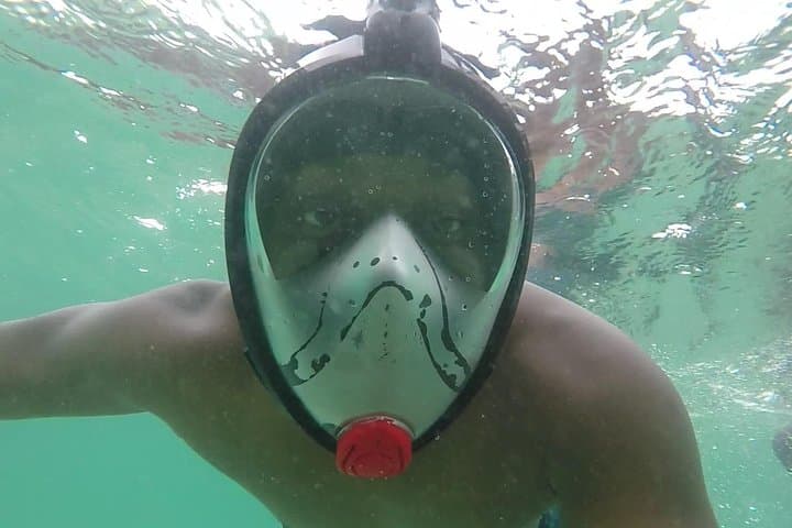 Beach n Chill Tour at Anse Cochon — Black Sand, Wood-Fire Cooking & Snorkel in St. Lucia photo 3