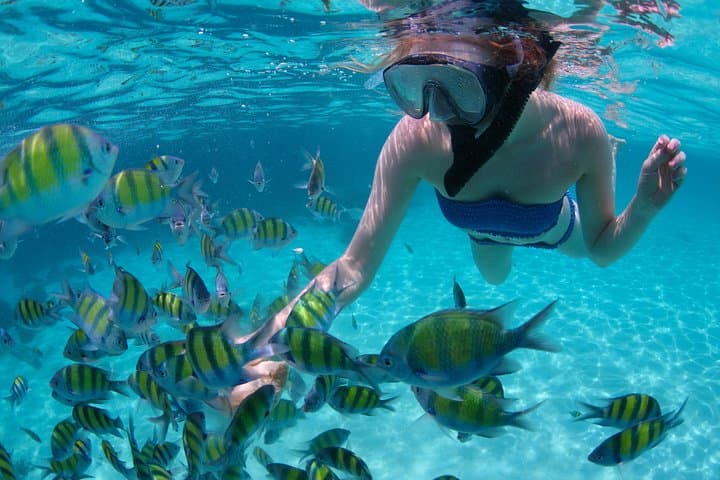 Half-Day Sail and Snorkel from Sapphire Marina to St. John — 3-Hour Semi-Private Trip photo 1