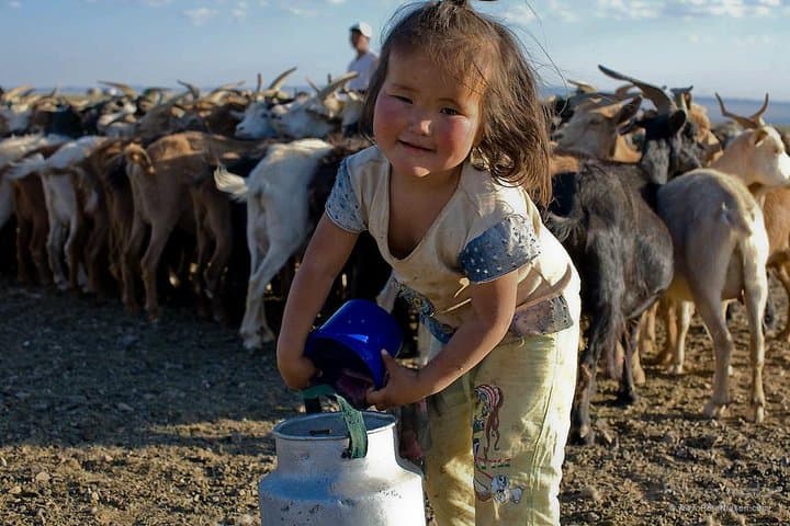 One-Day Semi-Gobi Adventure from Ulaanbaatar: Camels, Nomads & Sand Dunes photo 4