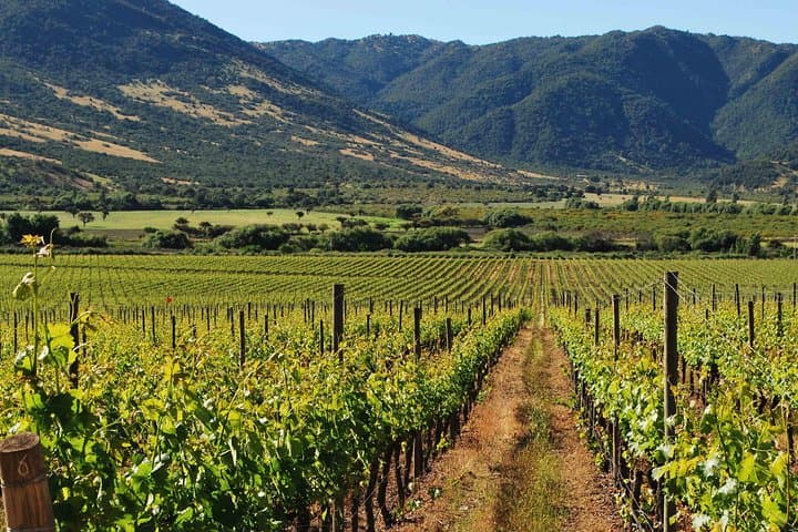 Self-Drive Wine Escape: 4-Day Colchagua Valley Road Trip photo 2