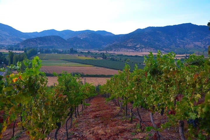 Self-Drive Wine Escape: 4-Day Colchagua Valley Road Trip photo 3