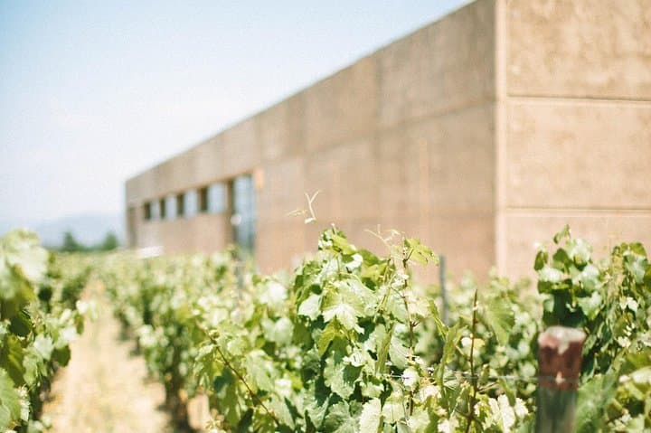 Self-Drive Wine Escape: 4-Day Colchagua Valley Road Trip photo 4