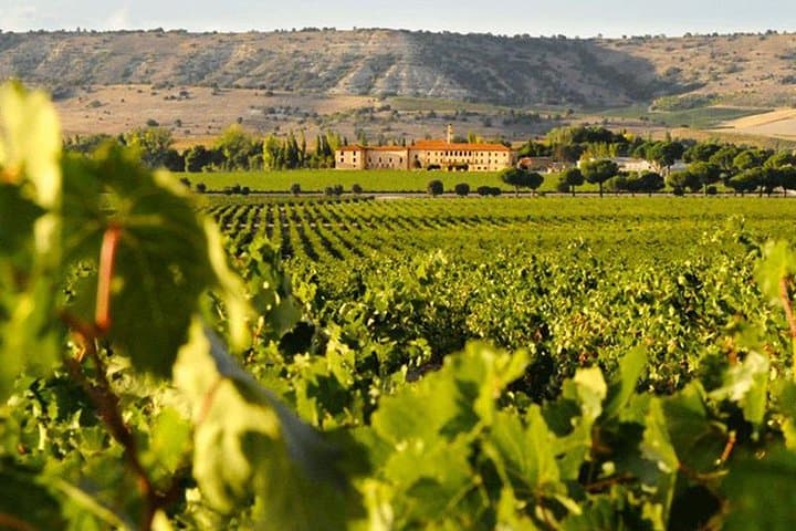 Self-Drive Wine Escape: 4-Day Colchagua Valley Road Trip