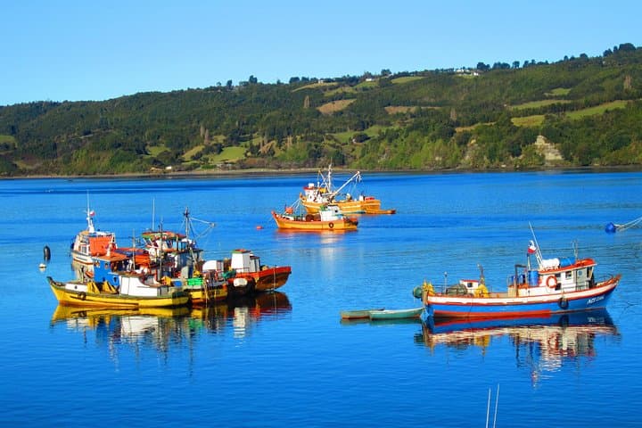 Self-Drive Chilean Lake District: 5-Day Puerto Varas to Chiloé Road Trip photo 3