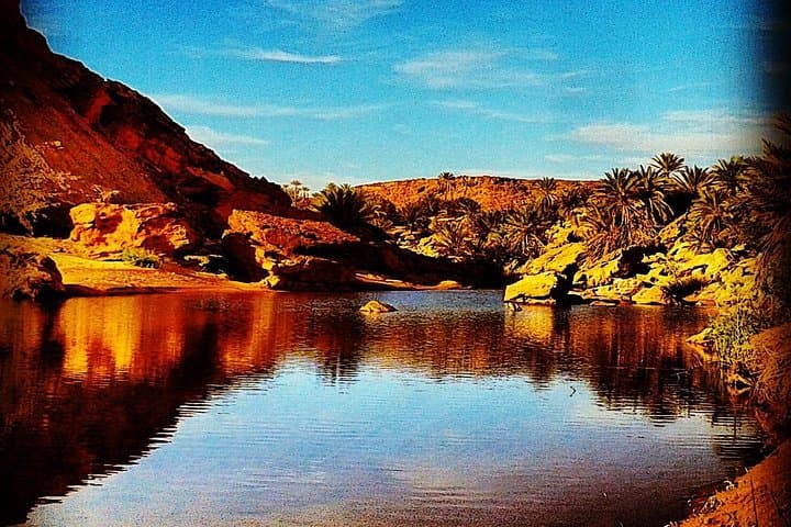4x4 to Safsaf Wild Oasis: Half-Day Berber Picnic from Merzouga