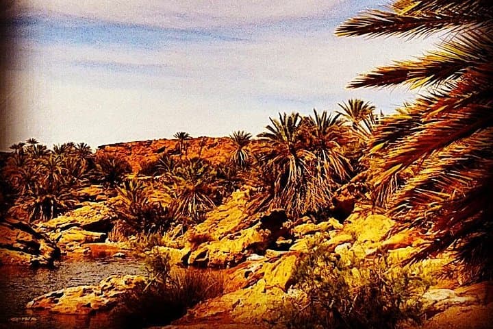 4x4 to Safsaf Wild Oasis: Half-Day Berber Picnic from Merzouga photo 3