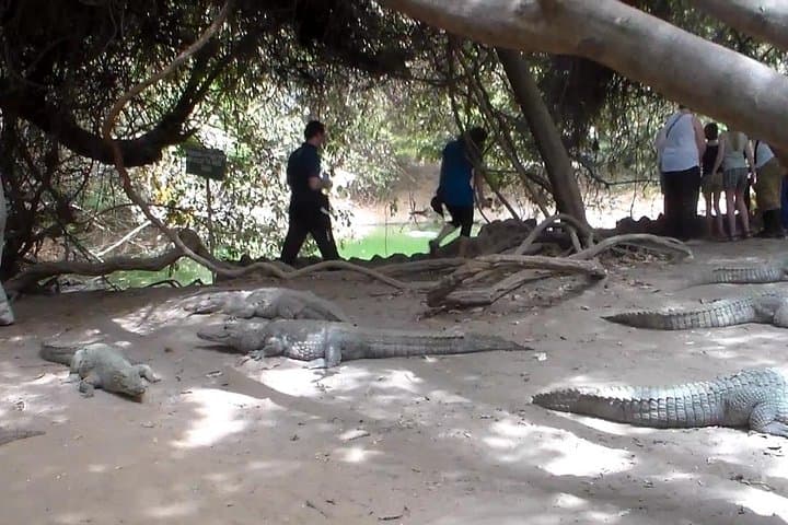 Banjul Private Half-Day City Tour: Crocodile Pool, Market & Batik Workshop photo 2