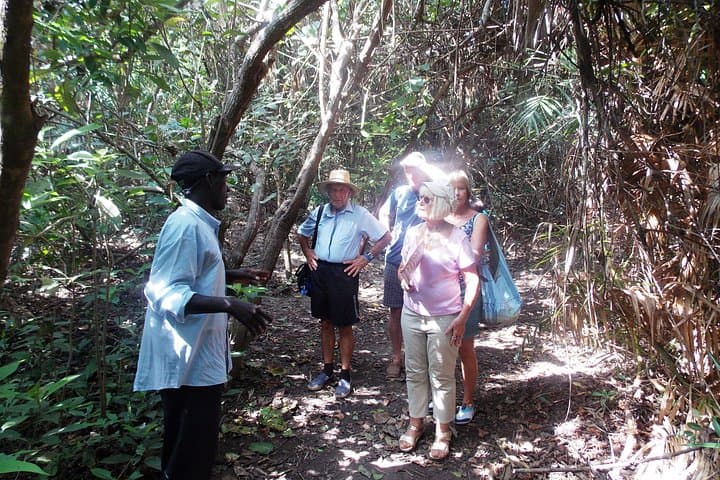 Makasutu Culture Forest Day Tour: Canoe Cruise & Palm-Forest Walk from Banjul photo 6